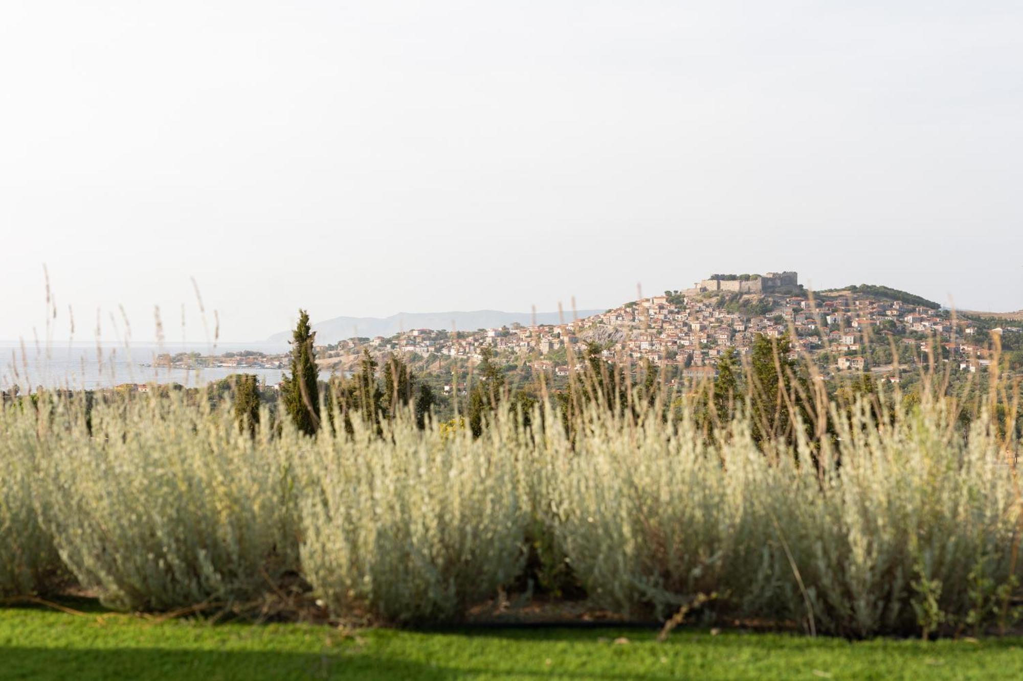 Lampetos Houses Molyvos Μήθυμνα Εξωτερικό φωτογραφία